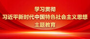 操屄免费短视频学习贯彻习近平新时代中国特色社会主义思想主题教育_fororder_ad-371X160(2)